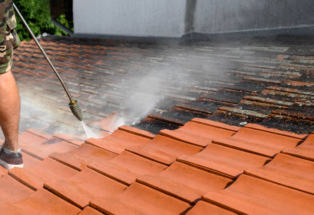 Best Roof Power Washing Services  in Orleans, VT